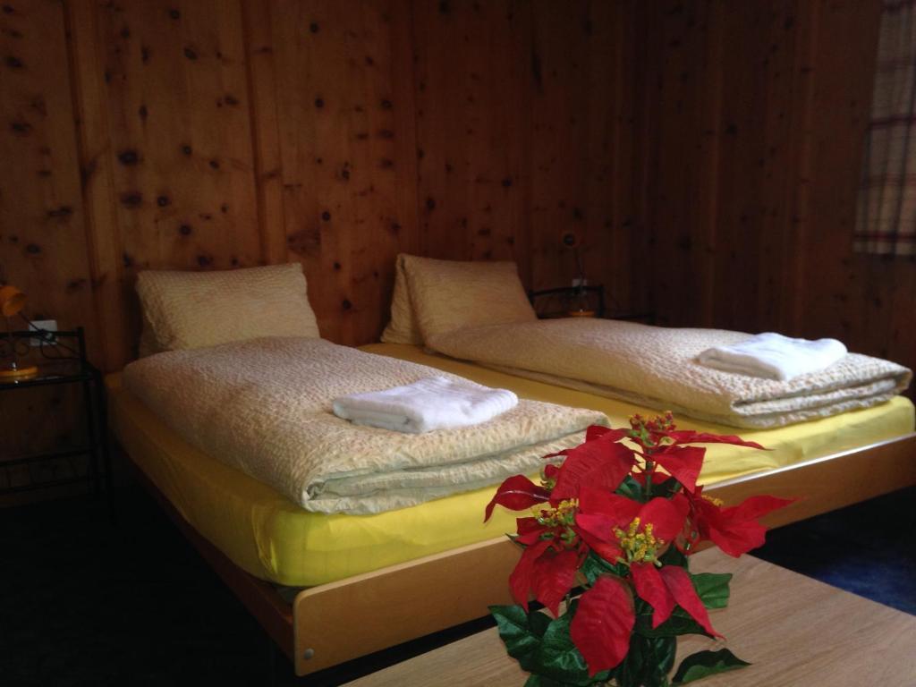 Aparthotel Hotel&appartements Chasa Valär 3*